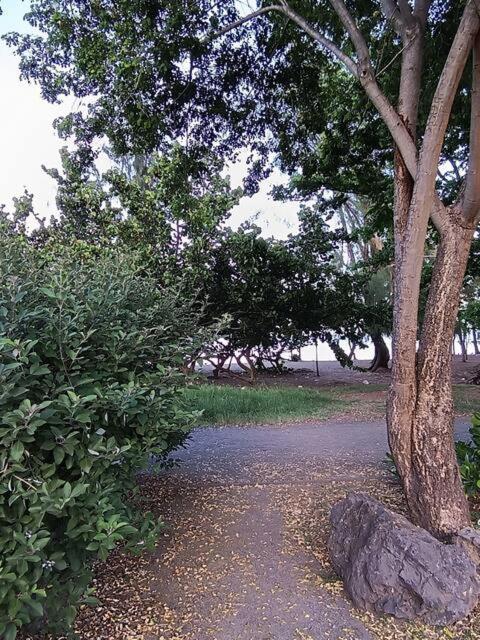 Appartamento Leu Doux Bruit Des Vagues Saint-Leu Esterno foto